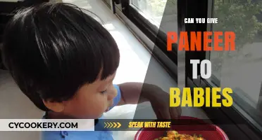 Introducing Paneer to Your Baby's Diet