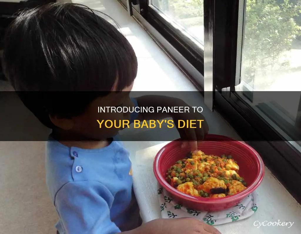 can you give paneer to babies
