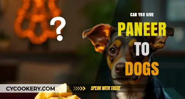 Feeding Dogs Paneer: Safe or Not?