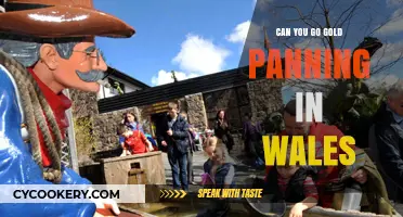 Gold Panning in Wales: Is It Allowed?