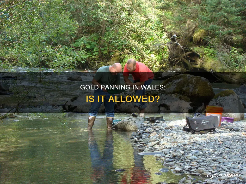 can you go gold panning in wales
