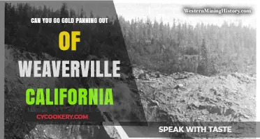Gold Panning: Weaverville, California's Best Spots