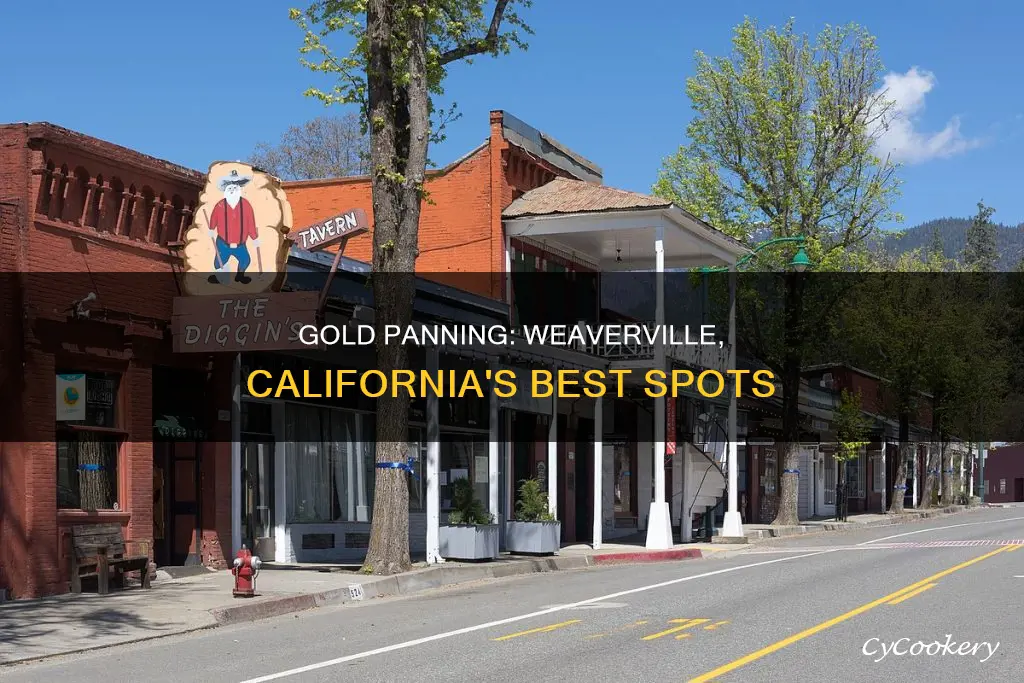 can you go gold panning out of weaverville california