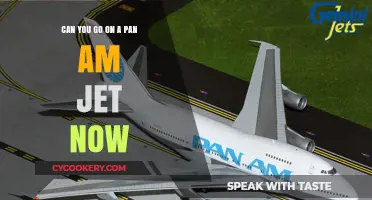 Pan Am Jet: A Nostalgic Flight Experience