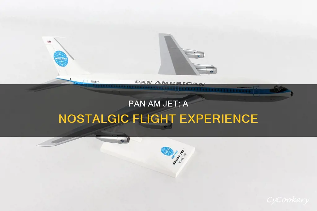 can you go on a pan am jet now