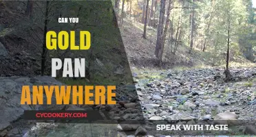 Gold Panning: Where to Go and What to Know