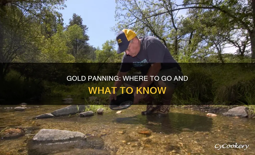 can you gold pan anywhere