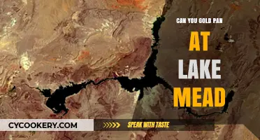 Gold Panning at Lake Mead: Is it Allowed?