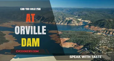 Gold Panning at Orville Dam: Is It Allowed?