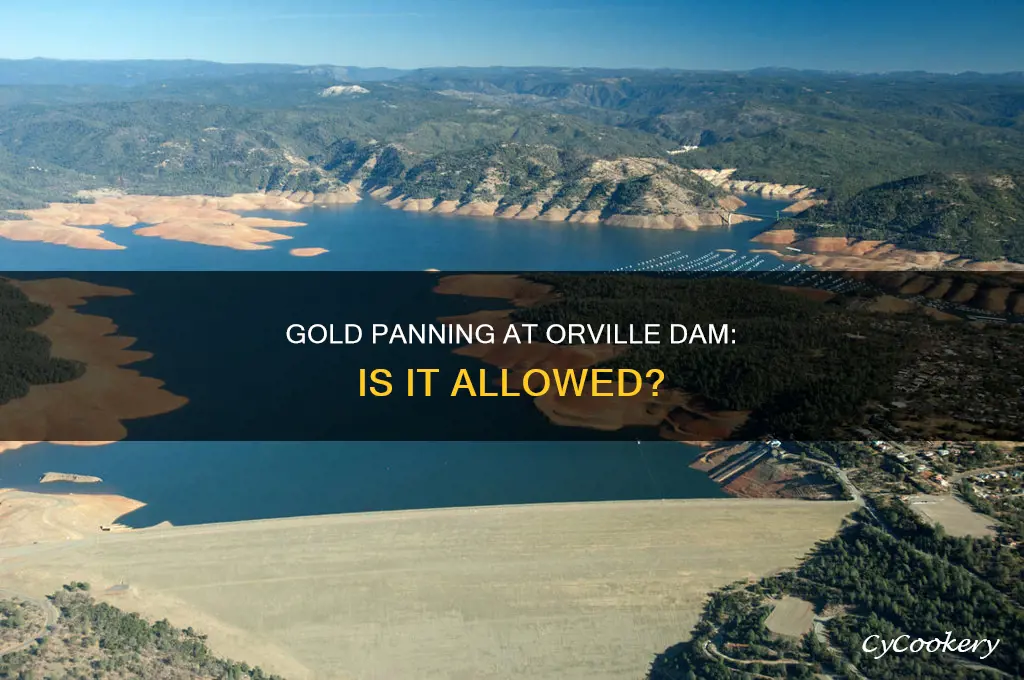 can you gold pan at orville dam