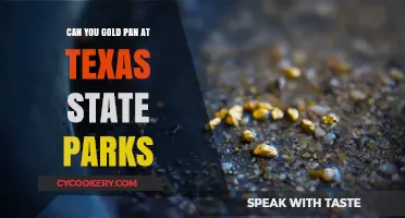 Gold Panning at Texas State Parks: What You Need to Know