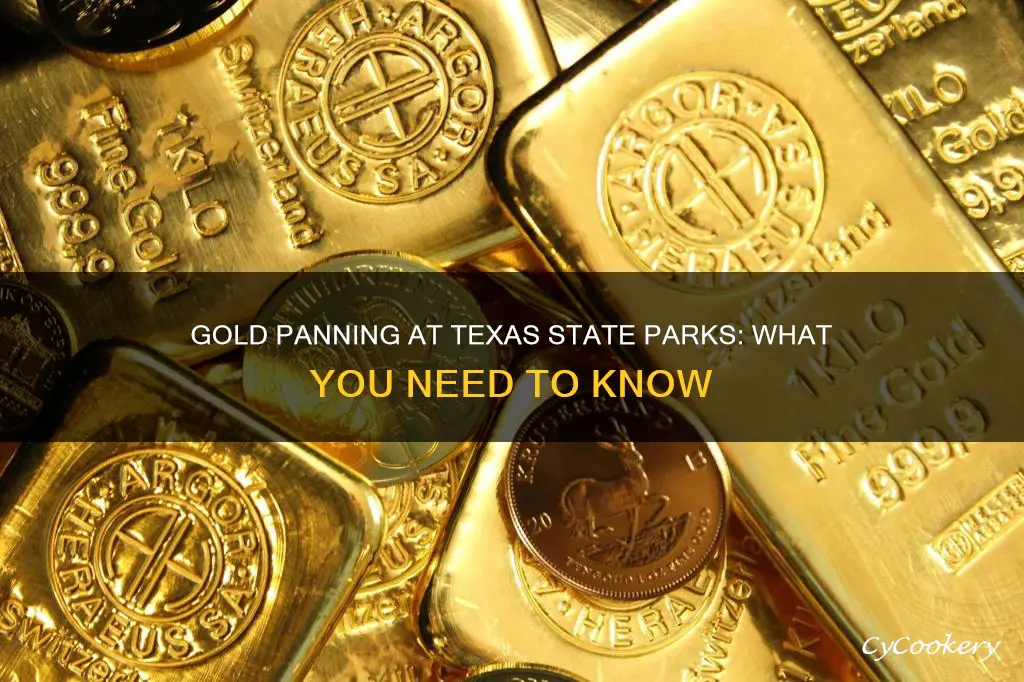 can you gold pan at texas state parks