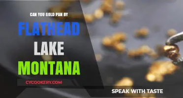 Panning for Gold: Flathead Lake, Montana
