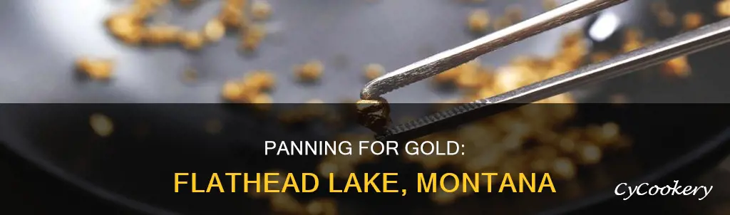 can you gold pan by flathead lake montana