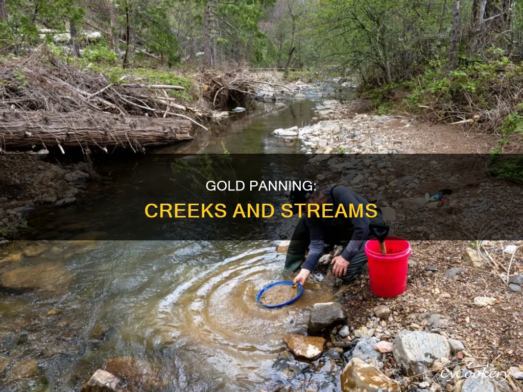 can you gold pan in a creek