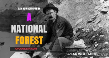 Gold Panning in National Forests: What You Need to Know