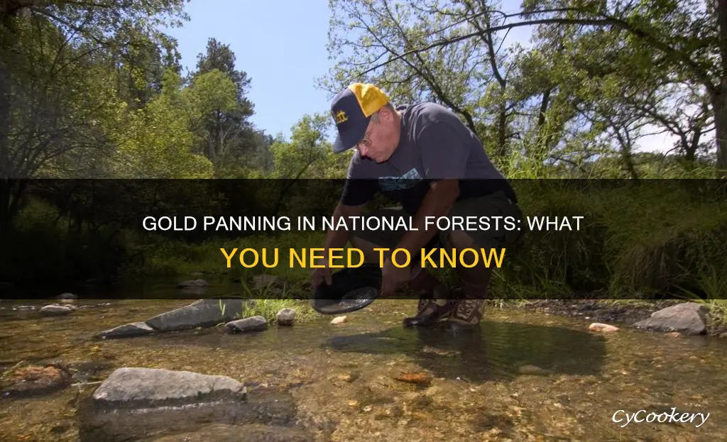 can you gold pan in a national forest