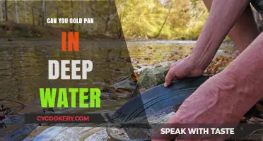 Gold Panning: Deep Water Techniques and Tips