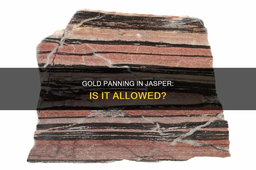 can you gold pan in jasper natiponal park