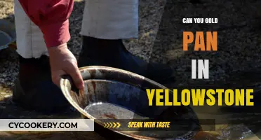 Gold Panning in Yellowstone: Is It Allowed?