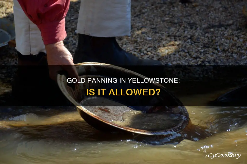 can you gold pan in yellowstone