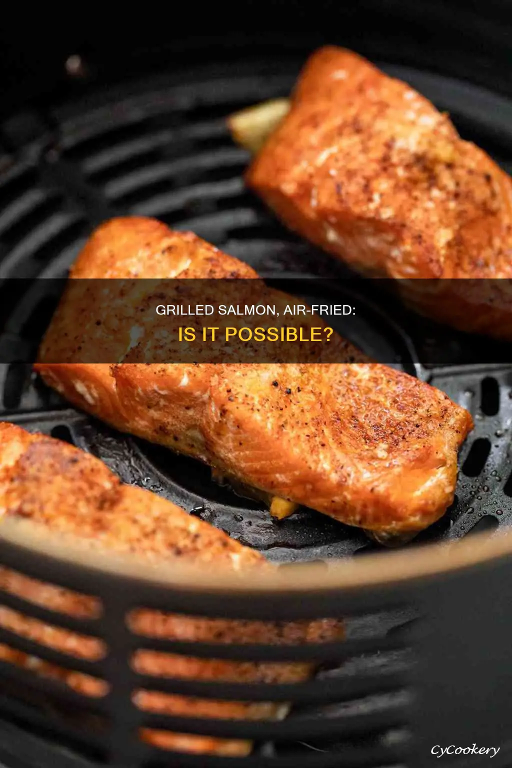 can you grill salmon in an air fryer