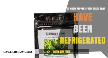 Refrigerated Pepper Seeds: Can They Sprout and Grow Successfully?