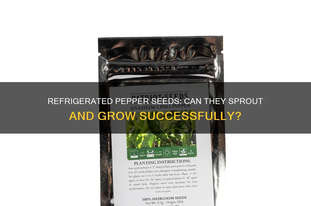 can you grow peppers from seeds that have been refrigerated