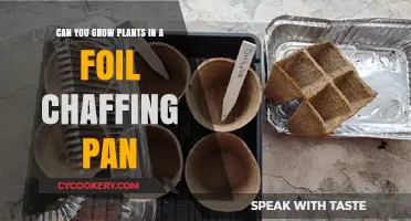 Grow Plants in a Foil Pan? Yes, You Can!