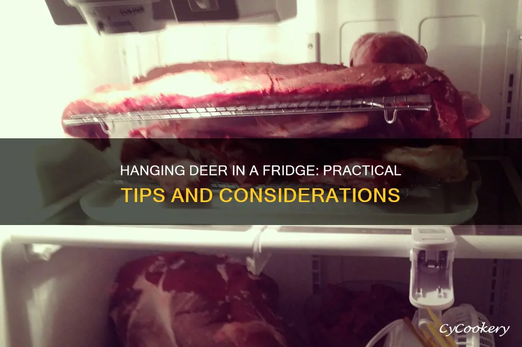 can you hang a deer in a refrigerator