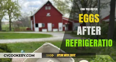 Hatching Eggs Post-Refrigeration: What You Need to Know