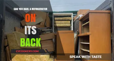 Hauling a Refrigerator on Its Back: Safe or Risky Move?