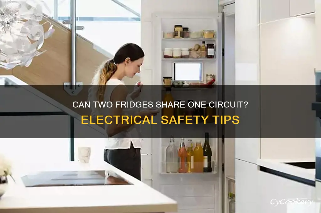 can you have 2 refrigerators on the same circuit