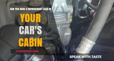 Refrigerant Leaks in Your Car's Cabin: Causes, Risks, and Solutions