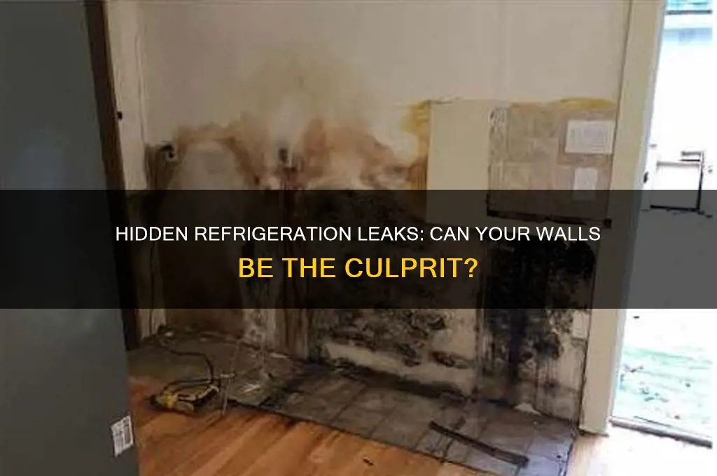 can you have a refrigeration leak in the walls