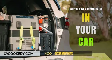 Can You Install a Refrigerator in Your Car? Pros, Cons, and Tips