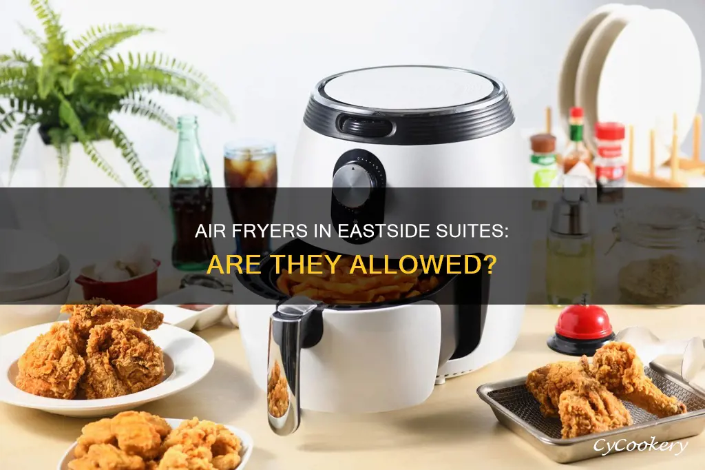 can you have an air fryer in the eastside suties