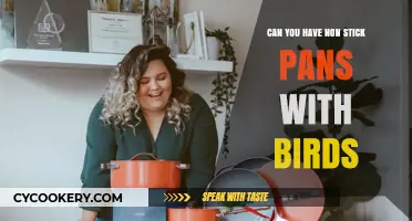 Safe Bird, Safe Non-Stick: What You Need to Know