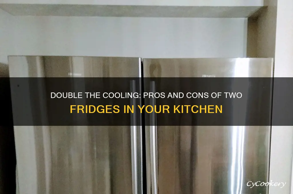 Double The Cooling: Pros And Cons Of Two Fridges In Your Kitchen ...