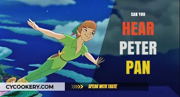 Peter Pan's Audible Adventure: Can You Hear Him?