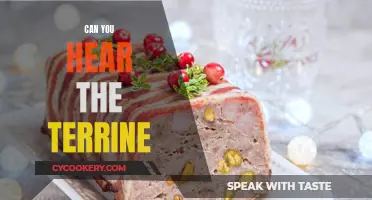 The Terrine's Song: Can You Hear Its Melody?