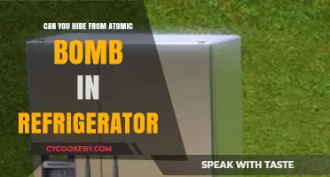 Can a Refrigerator Shield You from an Atomic Bomb? The Truth