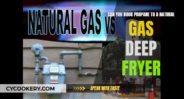 Propane vs Natural Gas: Deep Fryer Energy Source