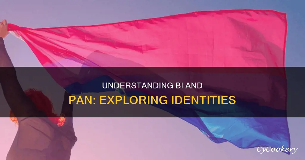 can you identify as both bi and pan