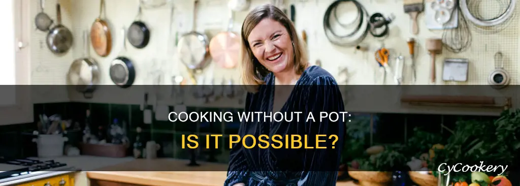can you imagine cook without a pot