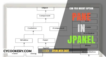 JPanel Customization: Adding an Options Pane