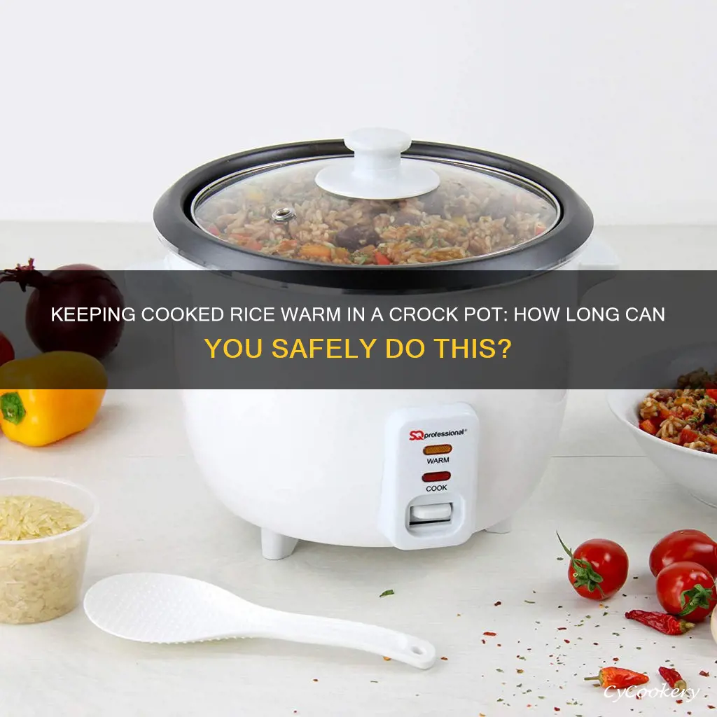 can you keep cooked rice hot in a crock pot