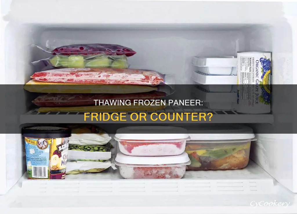 can you keep in refridgeatir babu paneer frozen food