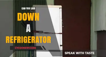 Can You Lay a Refrigerator Down? Essential Tips and Risks