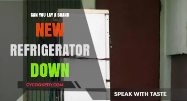 Laying Down a New Refrigerator: Risks and Best Practices Explained